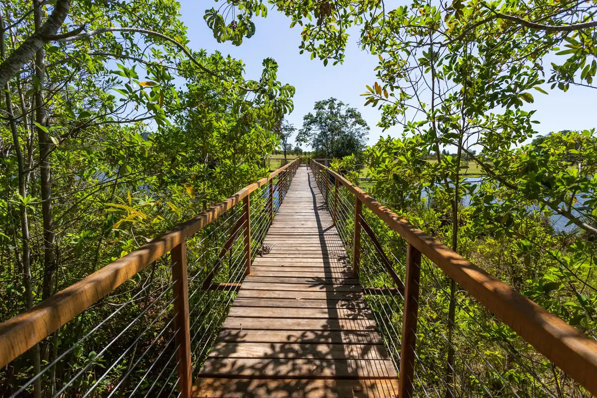 2 Pessoa na ponte suspensa